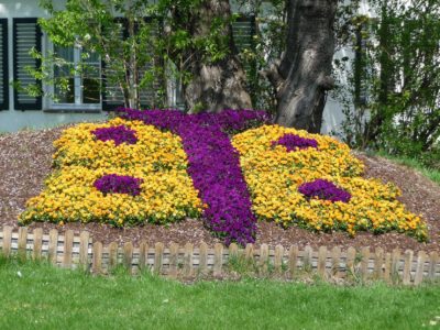 Frühlingsgruß am Berghotel