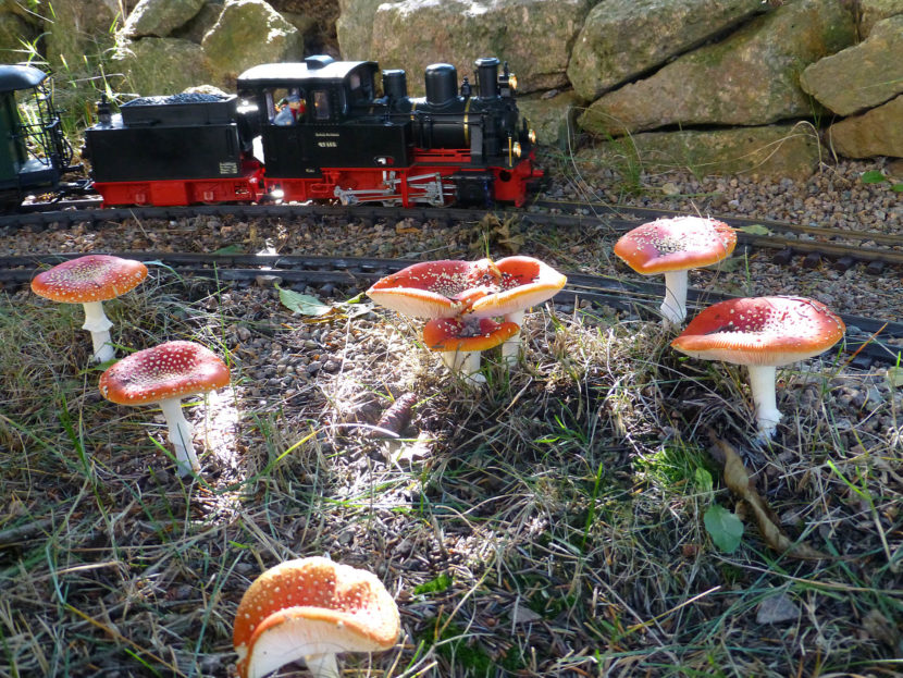 Garteneisenbahn | Berghotel Lockwitzgrund