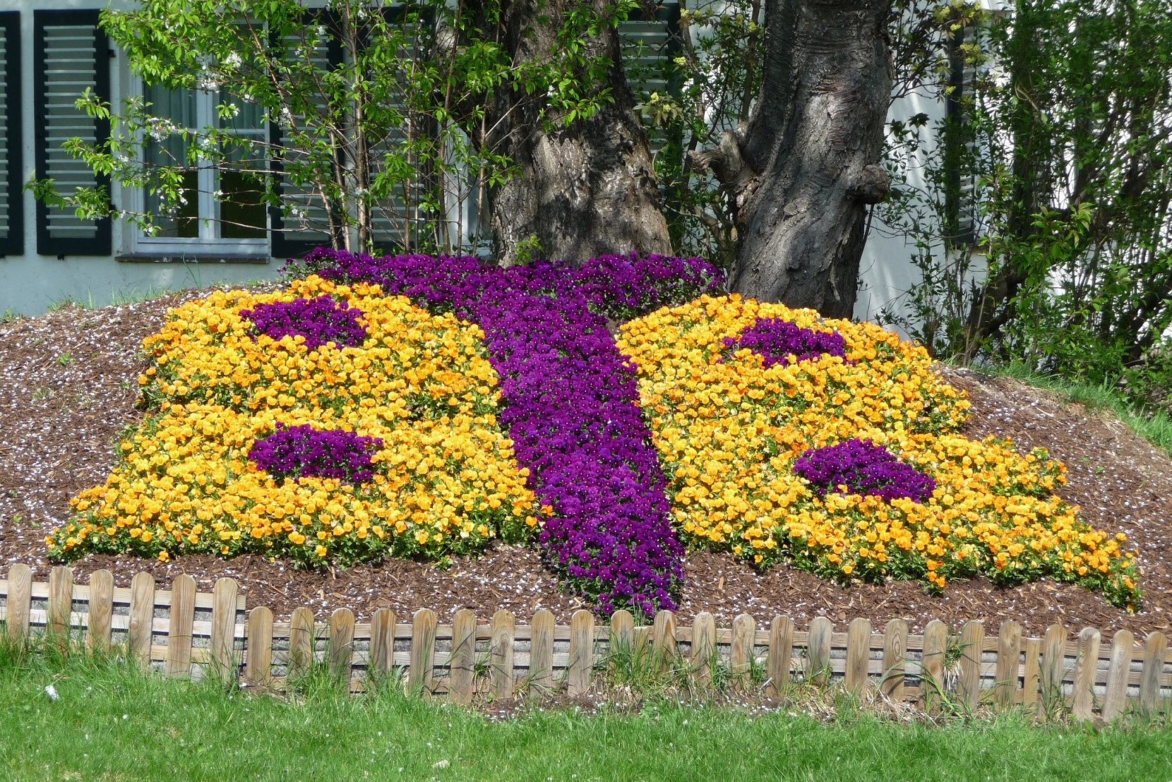 Frühlingsgruß am Berghotel